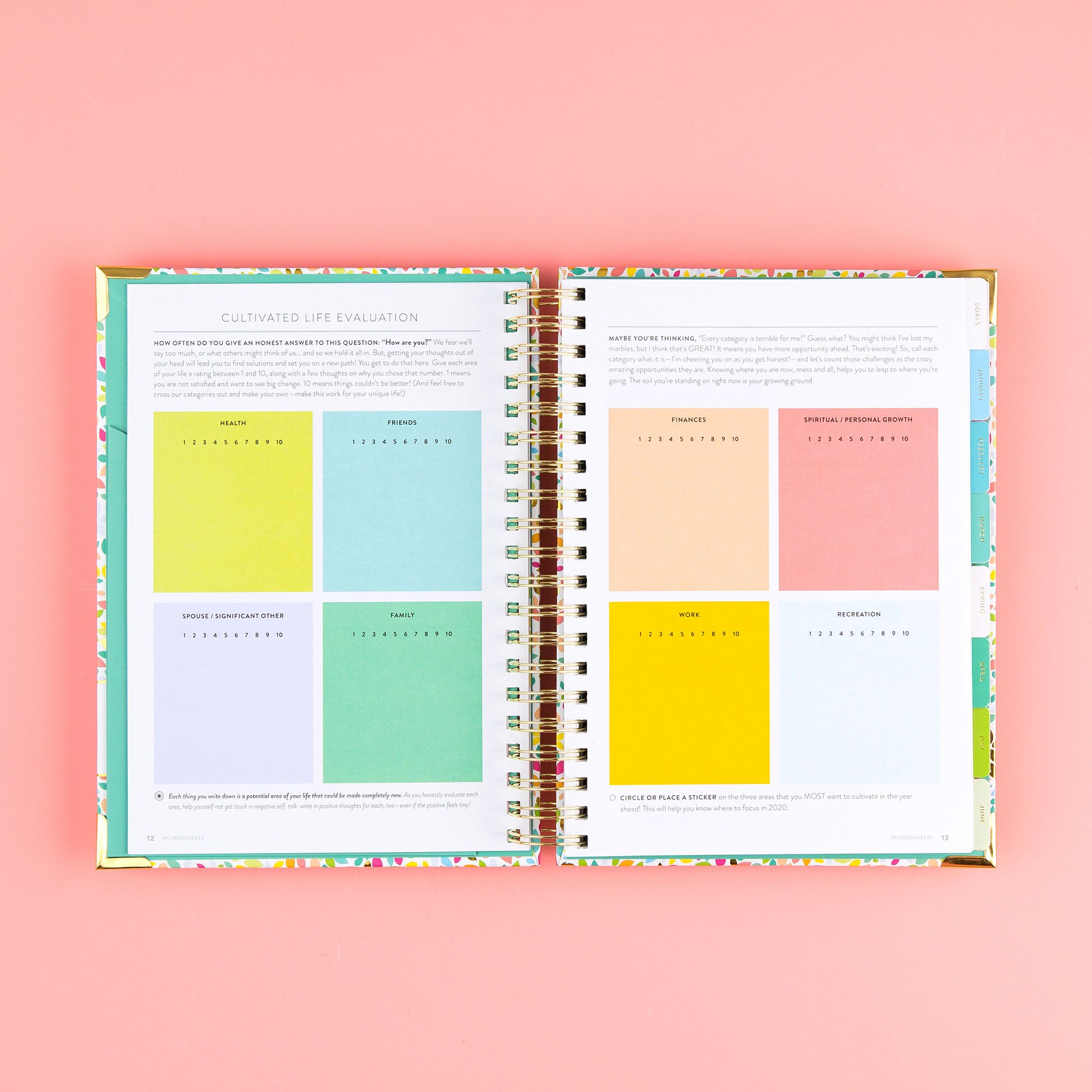 Cultivate What Matters powersheets goal planner on pink background