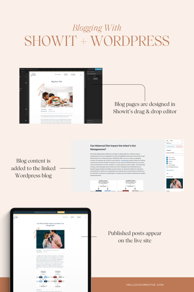 Blogging with Showit and WordPress how it works