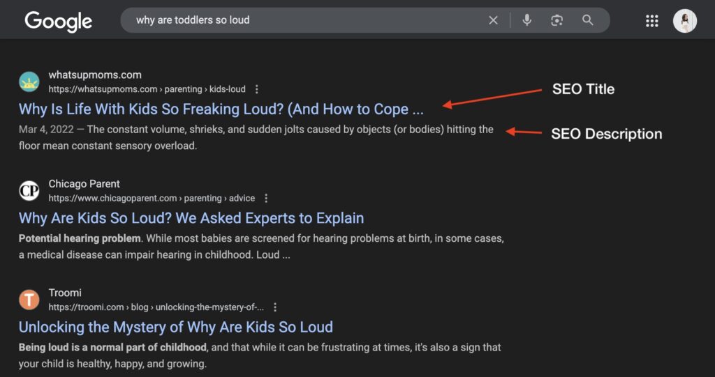 example of a Google search engine results page, showing you how to write metadata and how it's used